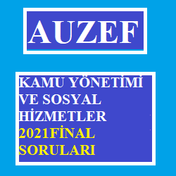 Kamu Yonetimi Ve Sosyal Hizmetler 2021 Final Sorulari Cikmis Sorular