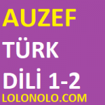 Türk Dili 1-2, Türk Dili 2 Ünite 4