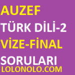 Türk Dili-2 Vize Final Soruları