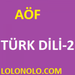 Türk Dili-2