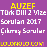 Türk Dili 2 Vize Soruları 2017 Çıkmış Sorular