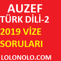 Türk Dili 2019 Çıkmış Vize Soruları