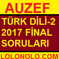 Türk Dili-II 2017 Final Soruları