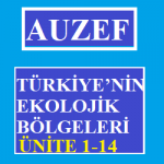 Auzef Türkiye'nin Ekolojik Bölgeleri Sorular