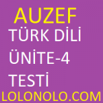 Türk Dili 2 Ünite 4