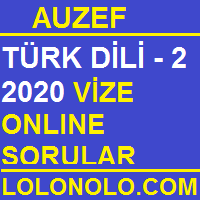 türk dili 2 vize 2020