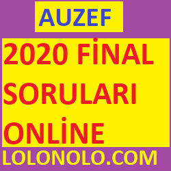 Auzef 2020 Final Soruları