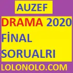 Drama 2020 Final Soruları