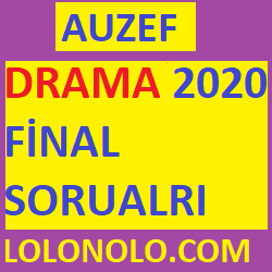 Drama 2020 Final Soruları