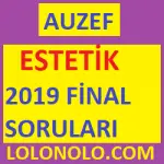 Estetik 2019 Final Soruları
