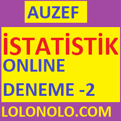 istatistik Online deneme -2