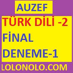 türk dili-2 final deneme sınavı-1