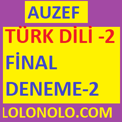 türk dili-2 final deneme sınavı-2