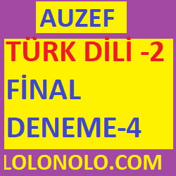 türk dili-2 final deneme sınavı-4