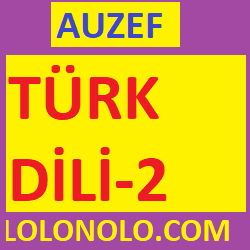 türk dili-2