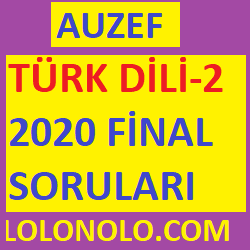 türk dili-2 2020 final soruları