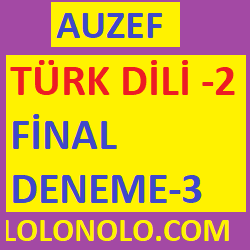 türk dili-2 final deneme sınavı-3