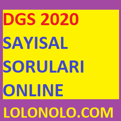 DGS 2020 SAYISAL