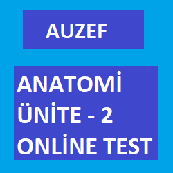 ANATOMİ ÜNİTE - 2 ONLİNE TEST