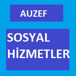 Auzef Sosyal Hizmetler, Türkiyede Sosyal Hizmet Uygulamaları
