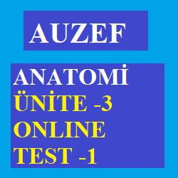 Auzef Anatomi Ünite 3 Online Test 1