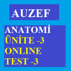 Anatomi vize testi Auzef Anatomi Ünite 3 Online Test 3