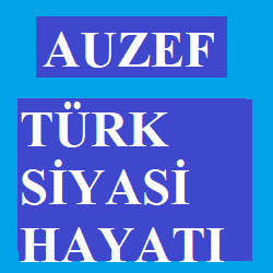 Türk Siyasi Hayatı