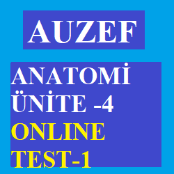 Anatomi Ünite 4 Test -1