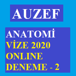 Anatomi Vize 2020 Online Deneme -2