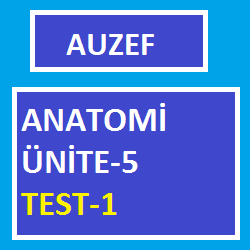 Anatomi ünite-5 test-1