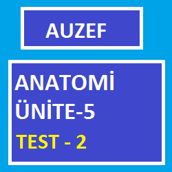 Anatomi Ünite -5 Test -2