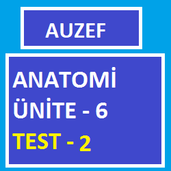 Anatomi Ünite -6 Test -2, Anatomi Ünite testi