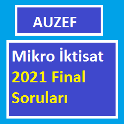 Mikro İktisat 2021 Final Soruları