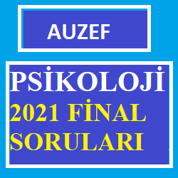 Psikoloji 2021 Final Soruları