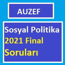 Sosyal Politika 2021 Final Soruları
