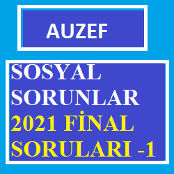 Sosyal Sorunlar 2021 Final Soruları -1