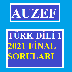 Türk Dili -1 2021 Final Soruları