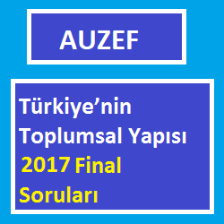 Türkiye’nin Toplumsal Yapısı 2017 Final Soruları