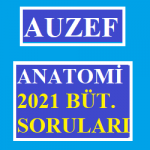 Anatomi 2021 Bütünleme Soruları
