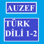 Auzef Türk Dili