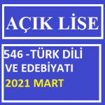 546-Türk Dili Ve Edebiyatı Haırlık 2021