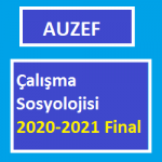 Çalışma Sosyolojisi 2020-2021 Final