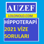 Auzef Hippoterapi 2021 Vize Soruları