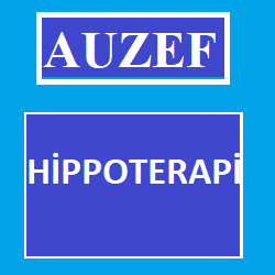 Auzef Hippoterapi