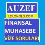 Finansal Muhasebe Vize Soruları