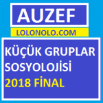 Küçük Gruplar Sosyolojisi 2018 Final