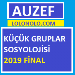 Küçük Gruplar Sosyolojisi 2019 Final