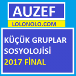 Küçük Gruplar Sosyolojisi Final 2017