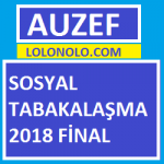Sosyal Tabakalaşma 2018 Final