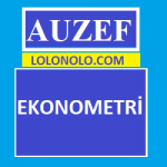 Auzef - Ekonometri